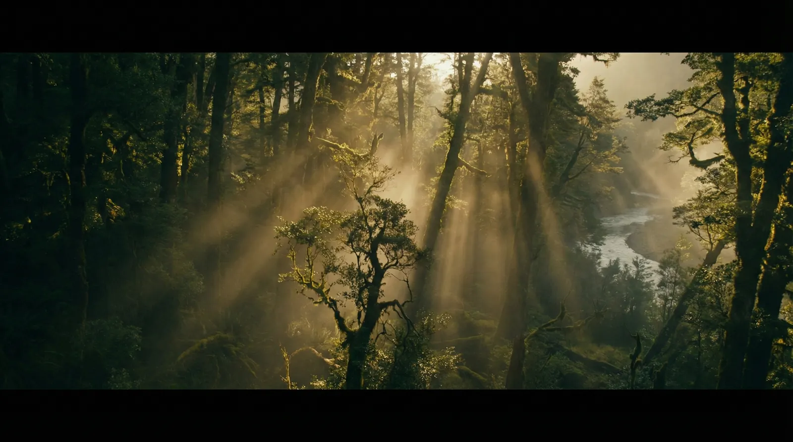 必撸大赛 自然纪录片风格调色案例